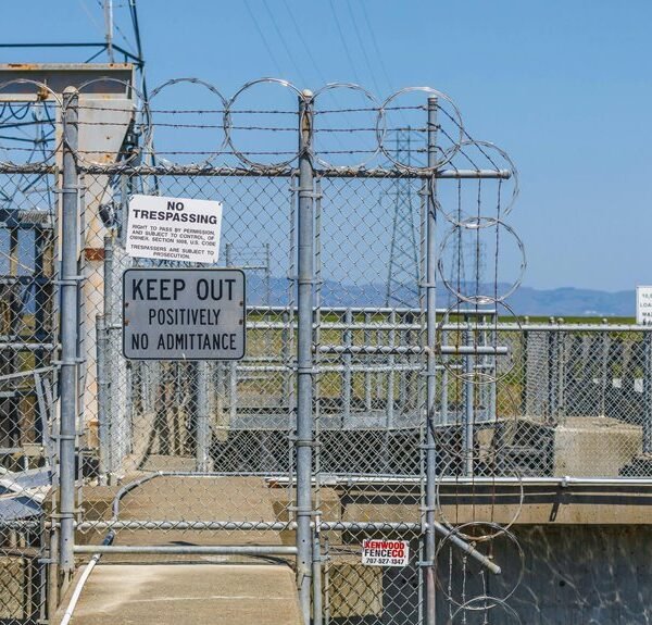 seo authority link building