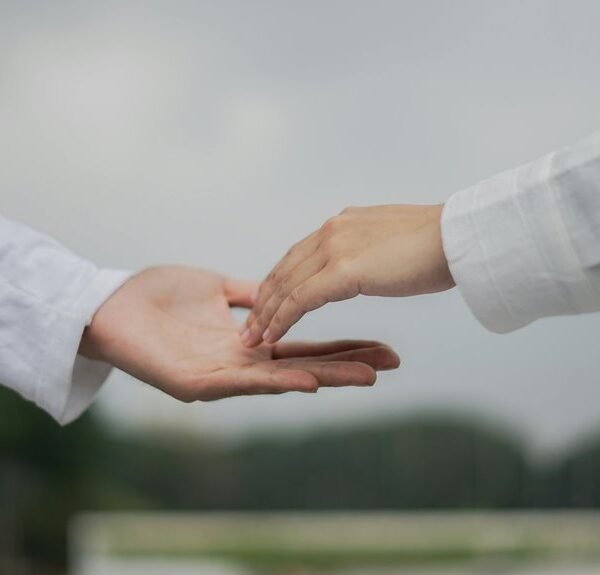 seo link outreach services