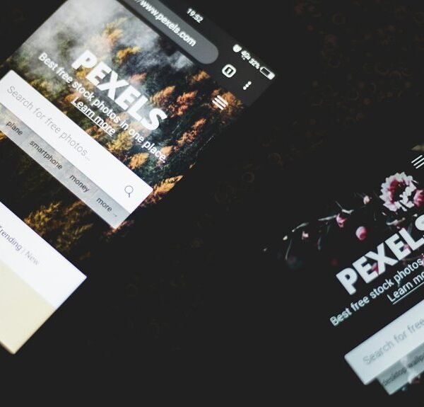 website organic search increase