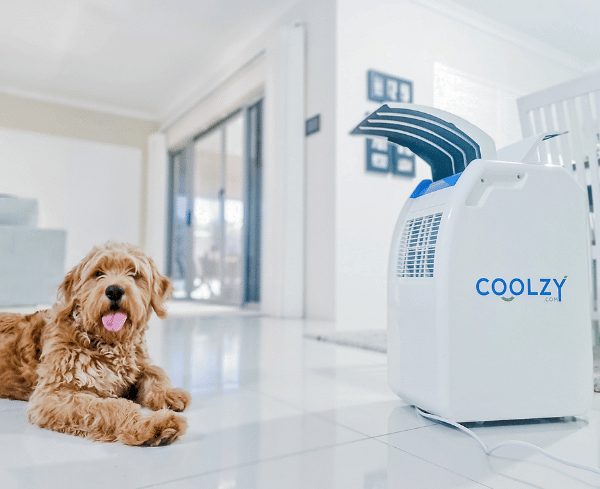 How a Split Air Conditioner Can Keep Your Pet Cool
